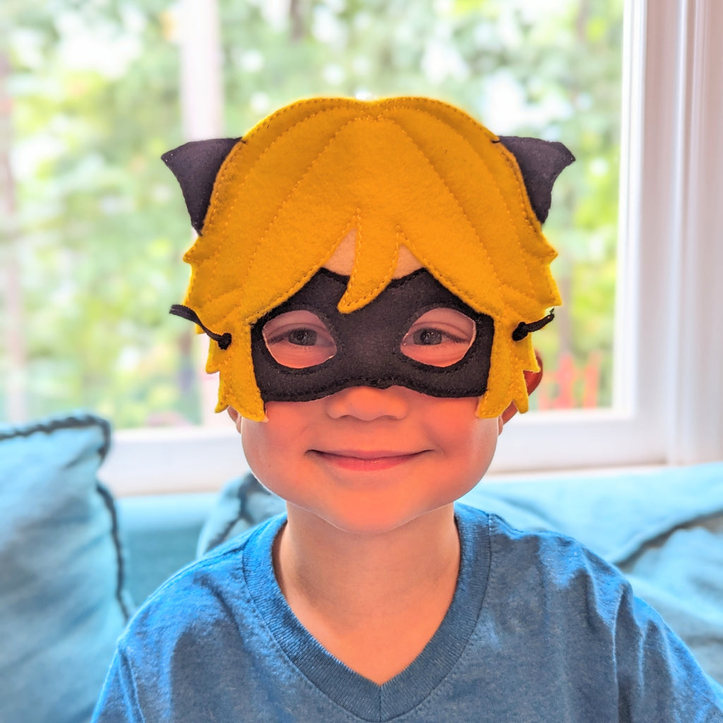 Ladybug and Cat Hero Masks